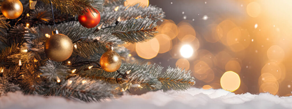 Headerbilde Weihnachtssingen der VPA zusammen mit der Schule Augst