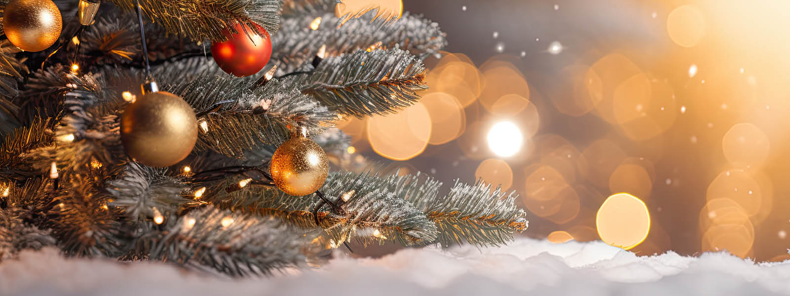 Headerbilde Weihnachtssingen der VPA zusammen mit der Schule Augst